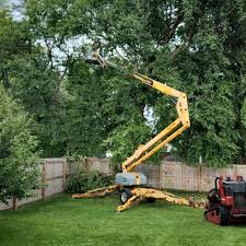 How Our Tree Care Process Works  in  West View, PA